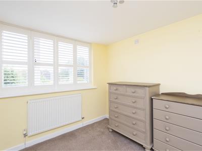 Picture 20